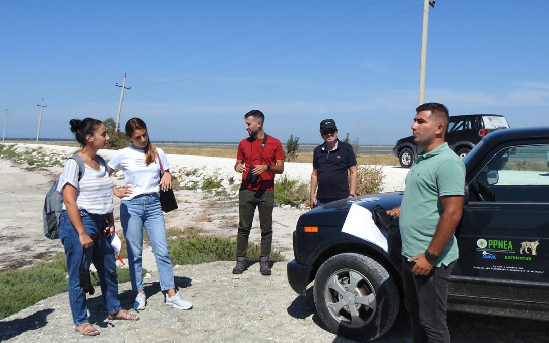 Takim me median mbajtur në zonën e mbrojtur Vjosë-Nartë në Shqipëri